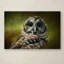 «Barred Owl in the Grove» de Vidur, impression sur toile tendue-22068155