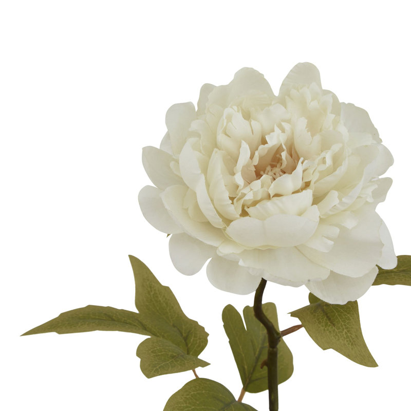 Anastasija Arrangement, 52 cm H x 5 cm W x 5 cm D, White