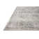 Jujhar Oriental Indoor Rug