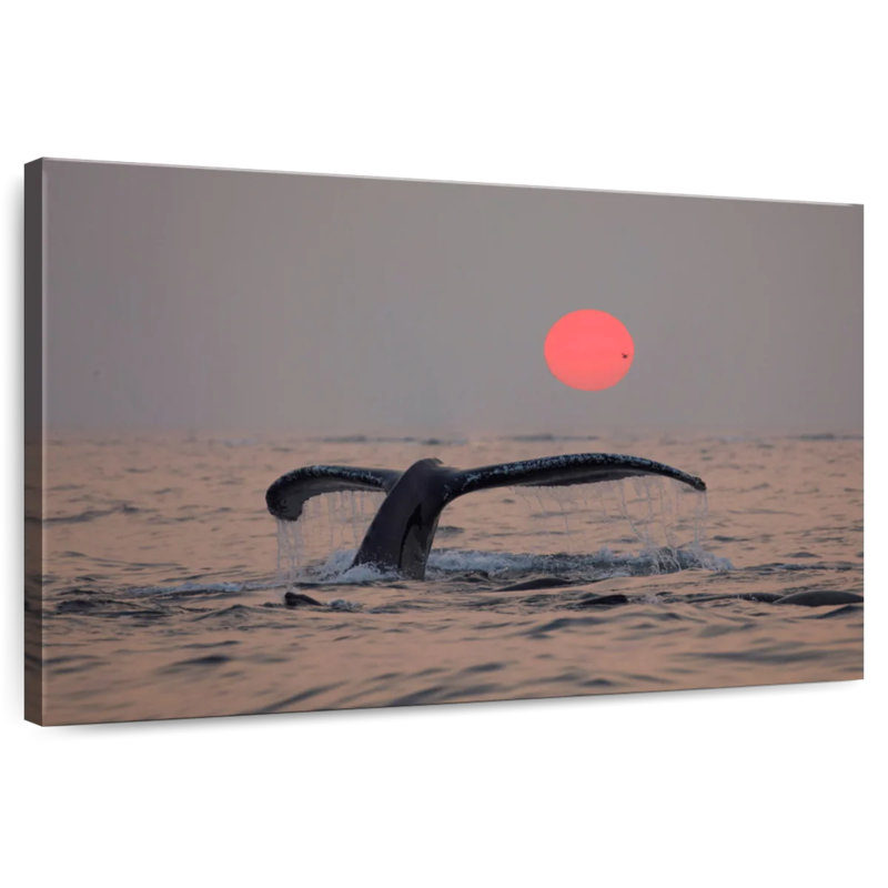 Brampt Humpback Whale Tail, 16'' H x 24'' W