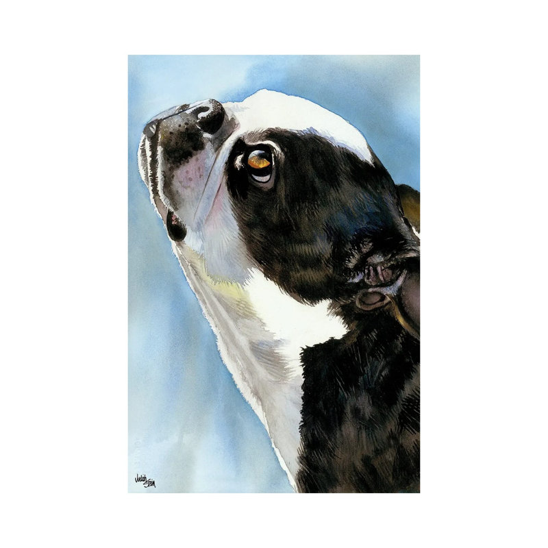 Here's Looking At You - Boston Terrier by Judith Stein - Wrapped Canvas Print, 30.48cm H x 20.32cm W