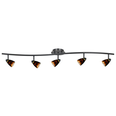 Cal Lighting Serpentine 5 Light Orbit Ceiling Fixture Dark Bronze with Bronze Glass