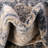 Arloa Oriental Indoor Rug-914719023