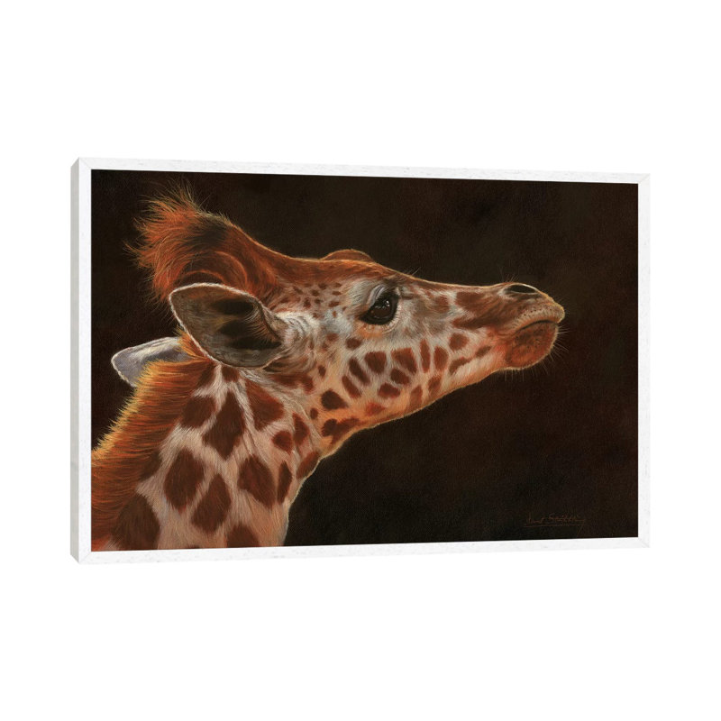 Giraffe Portrait I by David Stribbling - Gallery-Wrapped Canvas Giclée on Canvas, White Framed, 101.6 cm H x 66.04 cm W