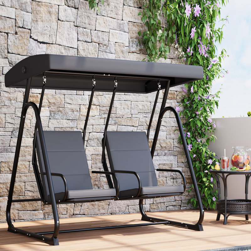 2 Person Porch Swing with Canopy