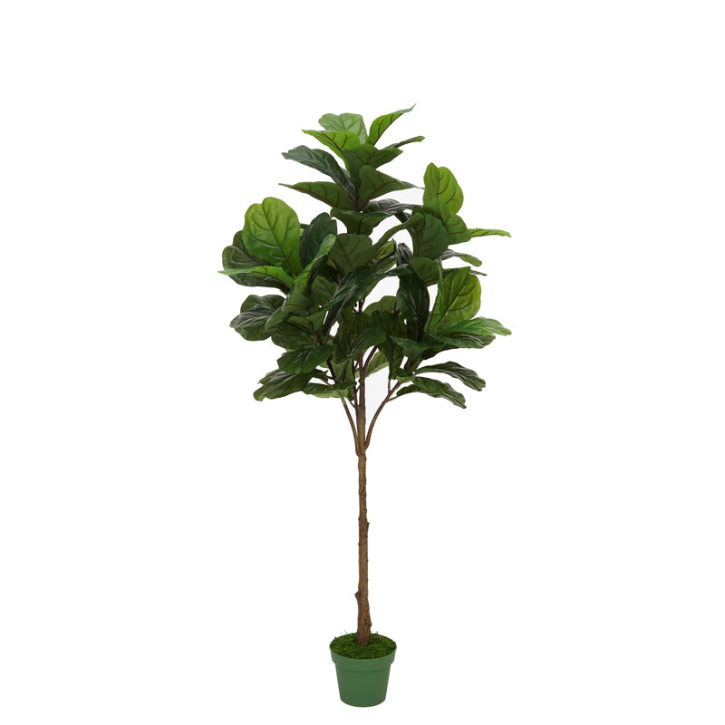 Figuier à feuilles artificielle en pot, H 70 po x l 30 po x P 30 po