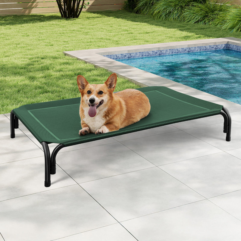 Lit pour chien surélevé intérieur / extérieur avec pieds antidérapants, H 7,9 po x l 35,4 po x P 25,6 po, Bleu