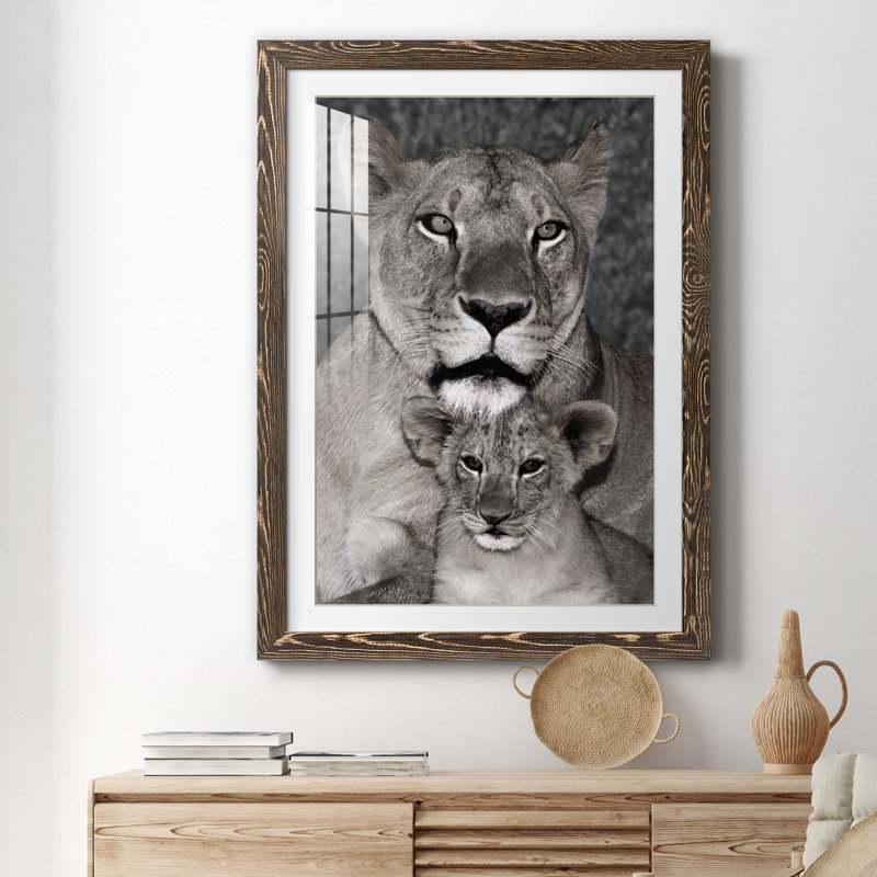Lionne and Cub - Photographie avec cadre photo, H 31 po x l 44 po x P 1 po, Encadré de bois de noyer