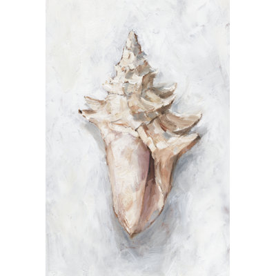 " White Shell Study I " by Ethan Harper Painting Print