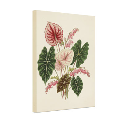 Arrangement floral de plantes et de fleurs avec des feuilles roses et vertes