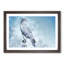 Falcon Bird with a Winter Scene - Picture Frame Painting Print-55731147-55731150