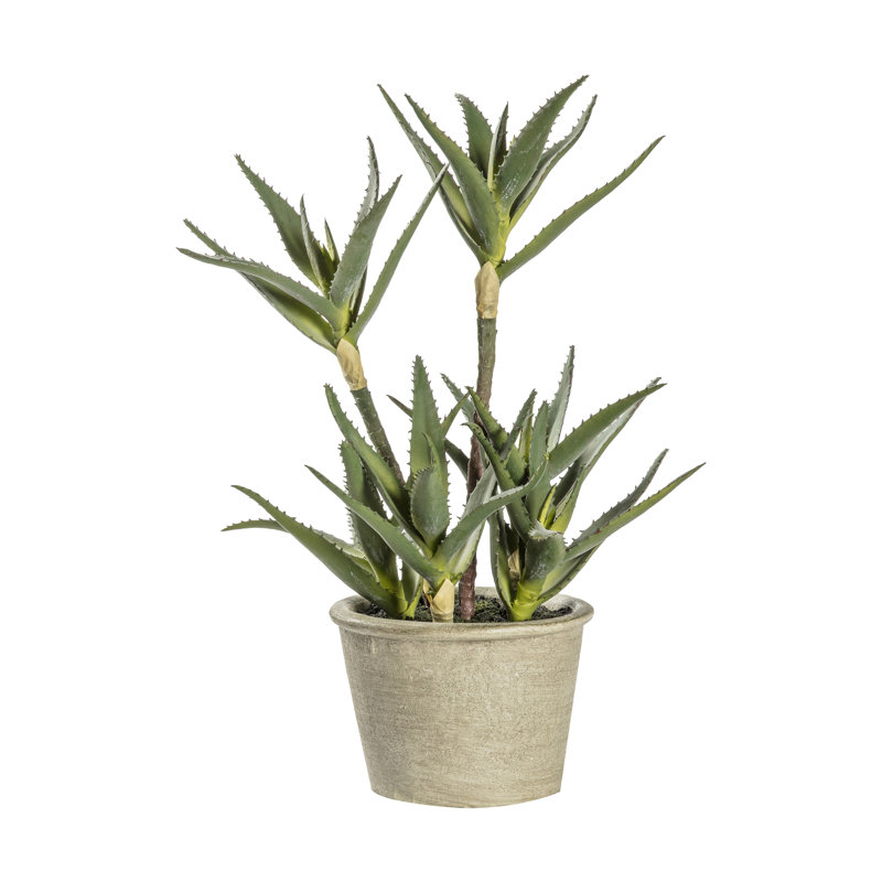 38cm Faux Succulent in Pot
