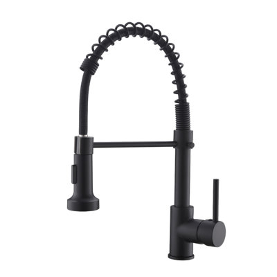 FLG Pull Down Kitchen Faucet