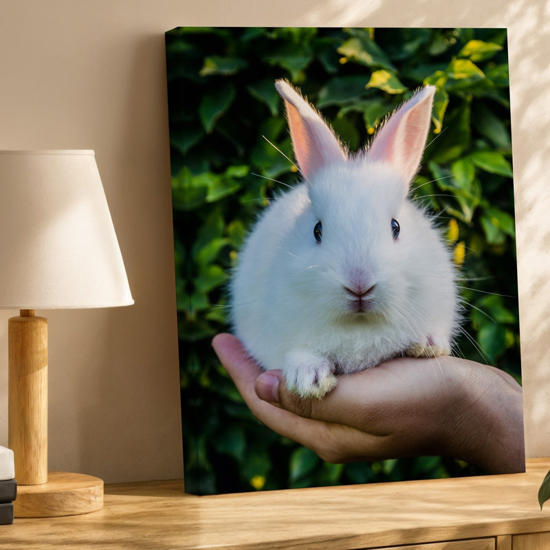 Toile, petit lapin moelleux avec un corps et un art mural principalement blancs, H 30 po x l 20 po