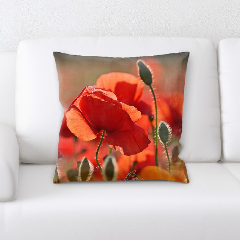 Coussin décoratif