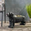 Banc-2140345848