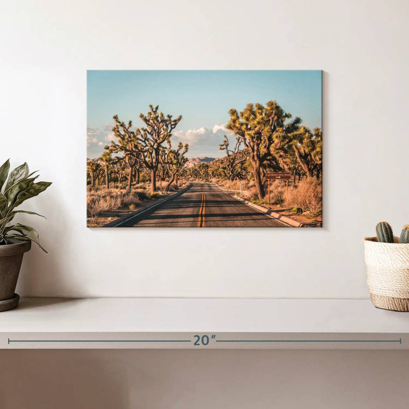 Mehar Cactus Road, 8" H x 12" W