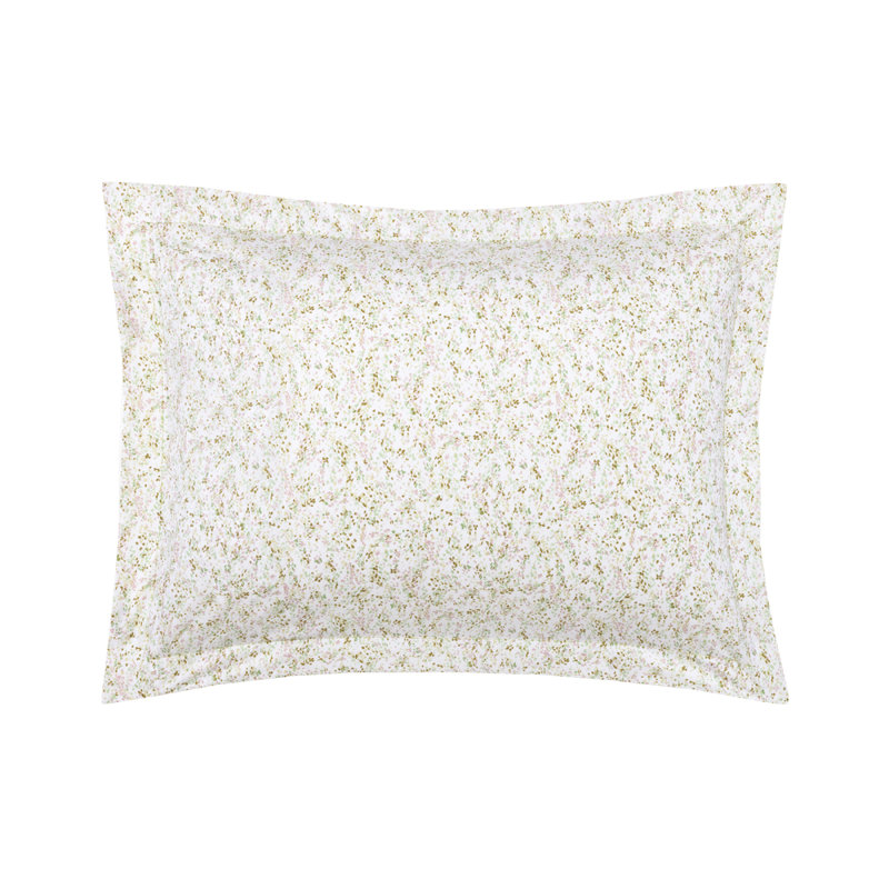Gaura Sham, King Sham