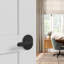 Davlin Lever With Remsen Trim Bed And Bath Lock-1133004315