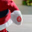 Christmas Decorative Accent