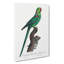 A Rose-Ringed Parakeet by F. Levaillant - Wrapped Canvas-55368045
