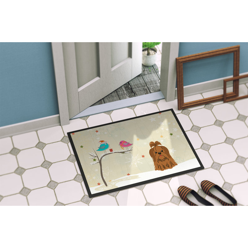 Tapis d'extérieur antidérapant Cih, Rectangle 2 pi x 3 pi, Chocolat