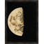 Cycle Of The Moon 4 Print