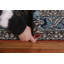Tapis turc rouge fait à la main Ziegler 4 x 6