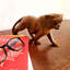Gautier Animals Figurines & Sculptures