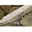 Suruchi Wool Oriental Area Rug
