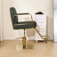 Fauteuil de coiffeur Beauty-107185488