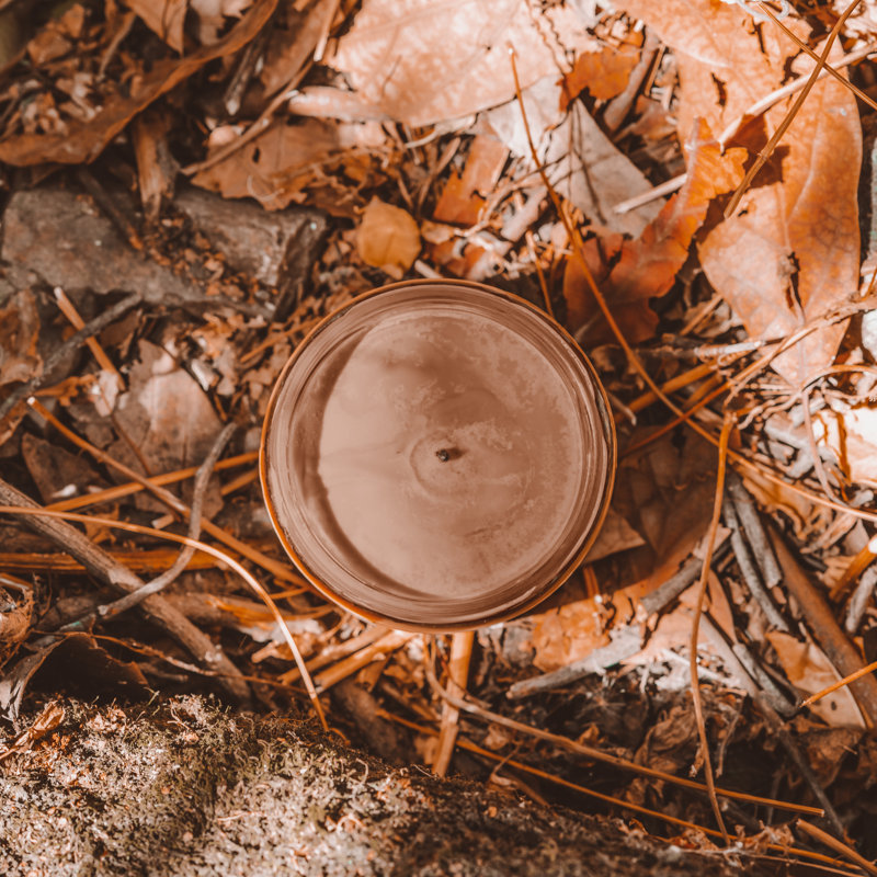 Bougie parfumée cèdre blanc, menthe poivrée et eucalyptus