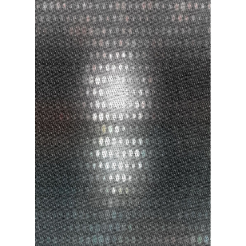 Performance Wool Indoor Rug