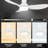 Effy 45'' Ceiling Fan with Light-1545660693