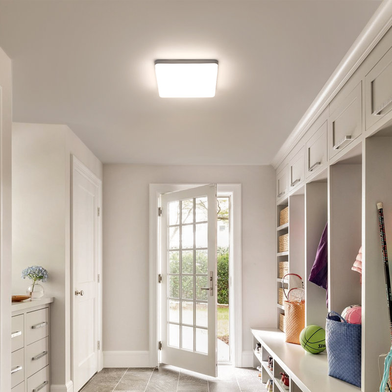 Darrant Acrylic LED Flush Mount