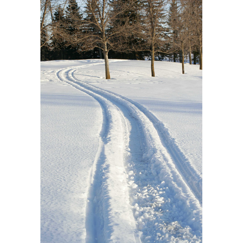 Winter Trails - Photographie sur toile tendue, H 18 po x l 12 po