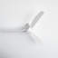 Antonia 60'' 3 Blade Ceiling Fan with LED Light Kit