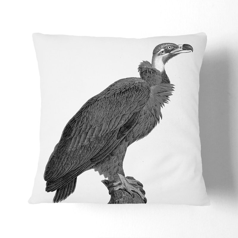 Square Throw Cushion, 40cm H x 40cm W x 15cm D