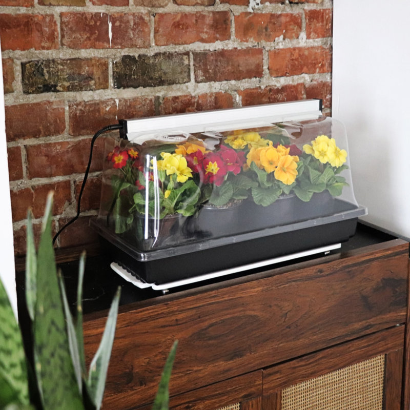 SunBlaster LED Mini Greenhouse Kit with NanoDome