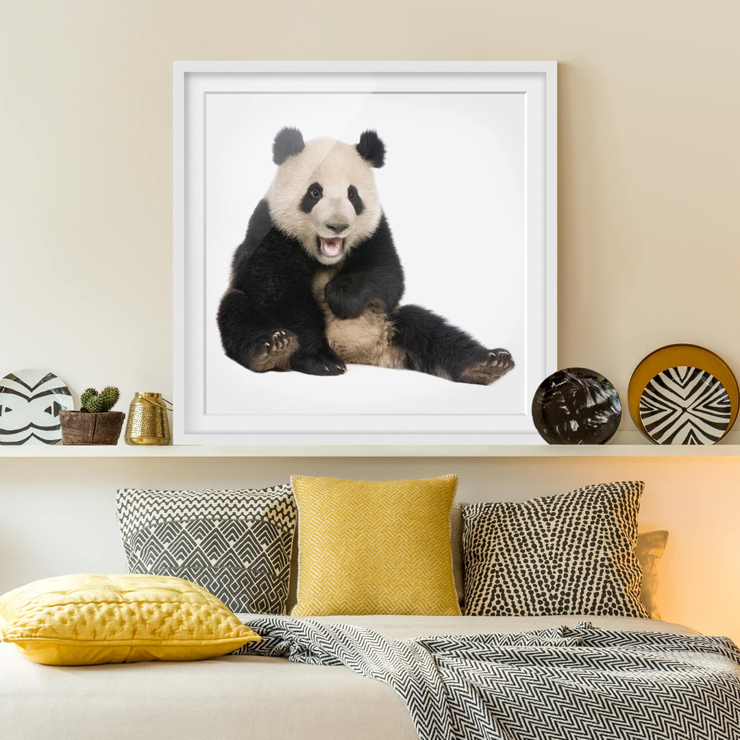 Gerahmtes Papierbild Lachender Panda