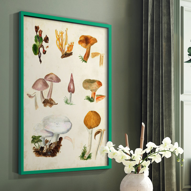 «Mushroom Species VI», reproduction encadrée - bois massif, Vert, H 10 po x l 8 po