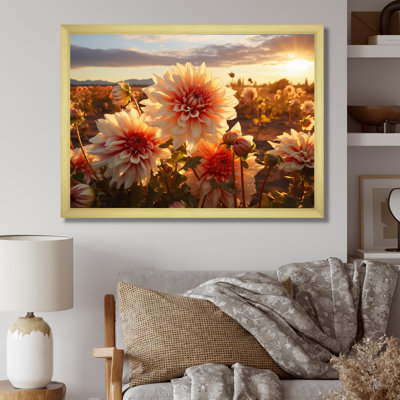 Dahlia champ au coucher du soleil - impression