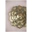 Plaque murale succulente D10x1,4 "