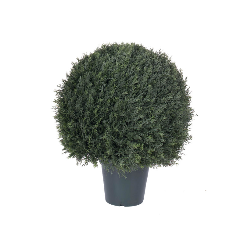 Artificial UV Resistant Pond Cypress Topiary, 34" H x 24" W x 24" D