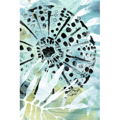 Echinoidia II by June Erica Vess - Painting