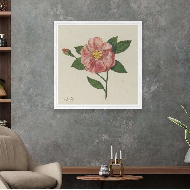 Wild Rose Print, White