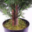 120Cm Artificial Cypress Topiary in Pot