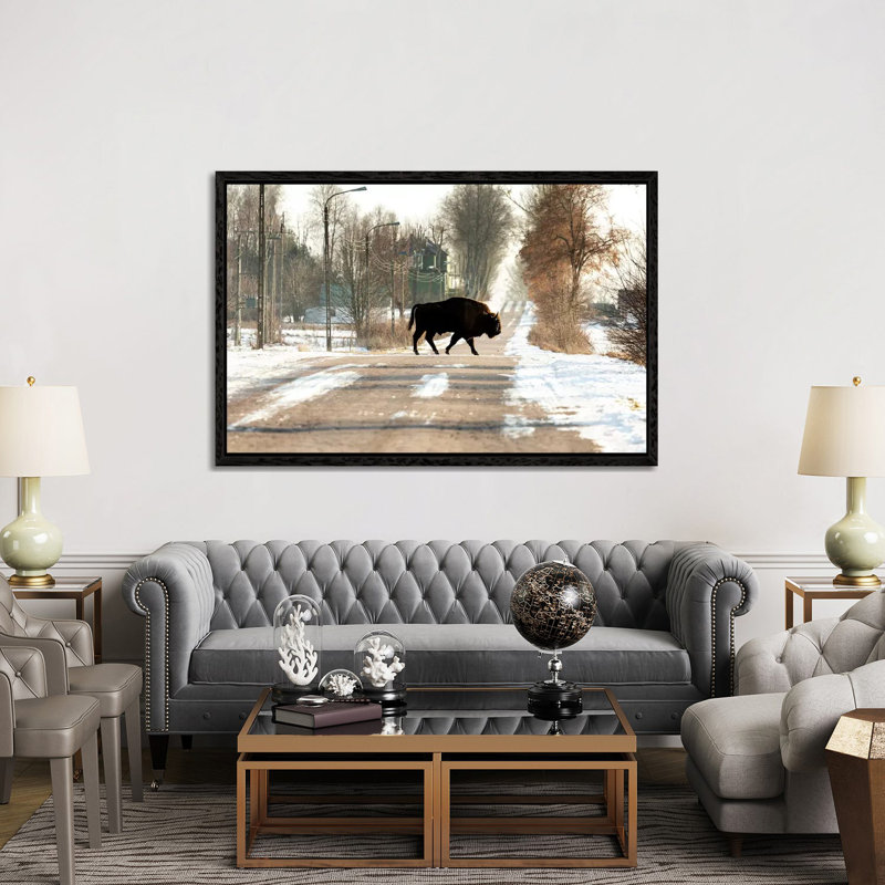 Europe, Poland, Podlaskie,European Bison IV 1 Piece Wall Art on Canvas, 152.5 cm H x 101.5 cm W, Black Floater Frame