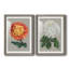 «Chrysanthemum on Grey I», ensemble de 2 reproductions d'art-1115168151-1115168150-1115990874