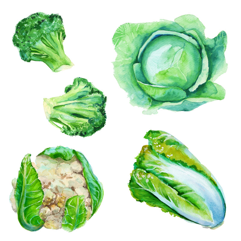 Vegetables - Wrapped Canvas Painting, 30cm H x 30cm W x 3.8cm D